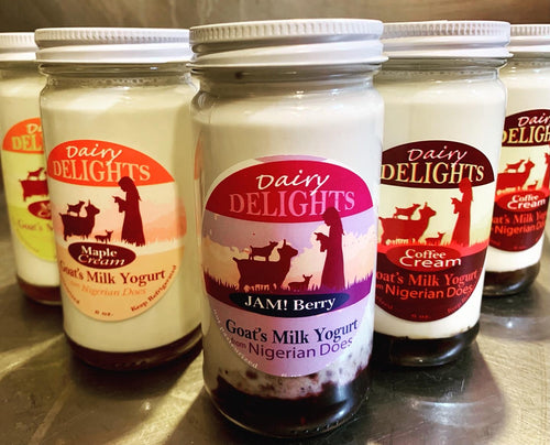 Dairy Delights Flavored Yogurt 6oz  -- Single Jar