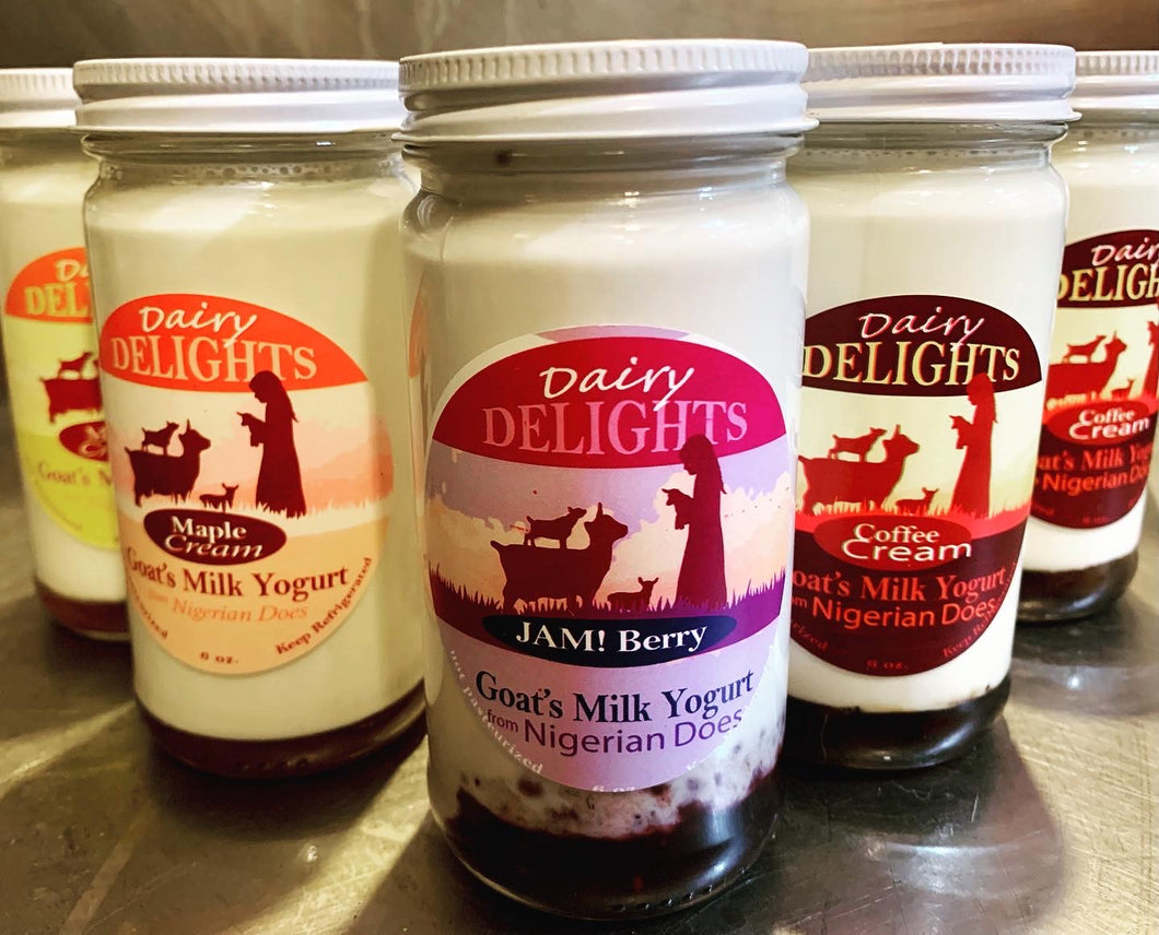 Dairy Delights Flavored Yogurt 6oz  -- Single Jar