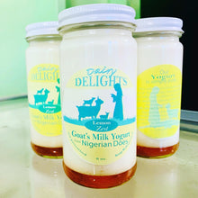 Dairy Delights Flavored Yogurt 6oz  -- Single Jar