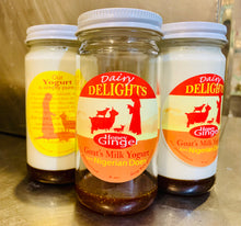 Dairy Delights Flavored Yogurt 6oz  -- Single Jar